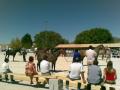 Feria del Caballo en Guadahortuna