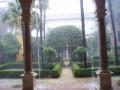 lluvia en patio-jardín de Casa Pilatos