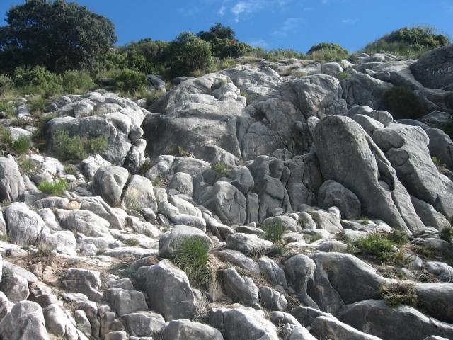 rocas