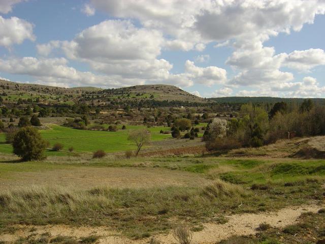vista del campo desde el pueblo