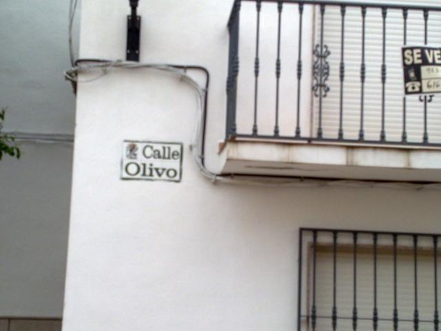 calle olivo