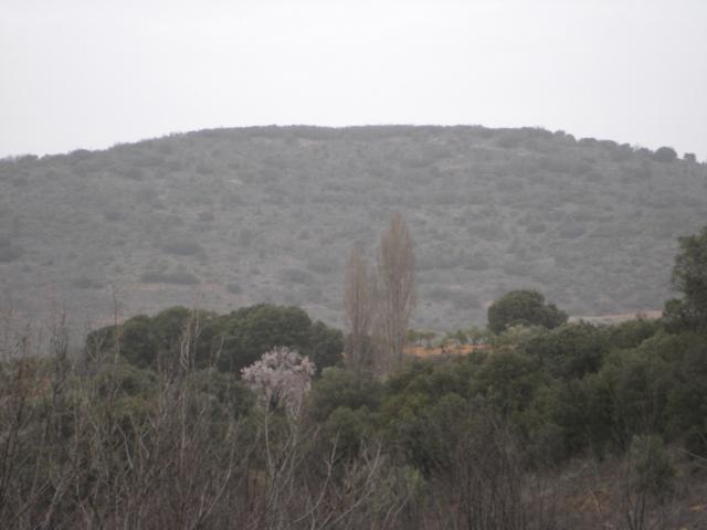 Cerro blanco