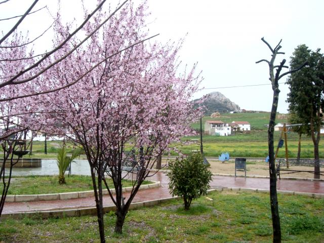 Primavera 2011