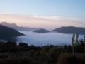 Una mañana de niebla en Cortes dela Frontera