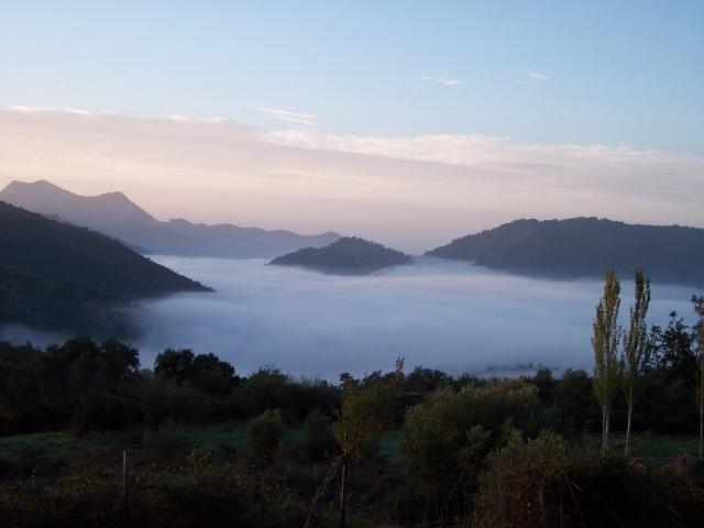 Una maana de niebla en Cortes dela Frontera