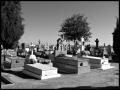 Cementerio de Casarrubuelos
