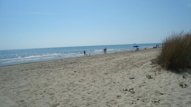 Playa de Torrelasal