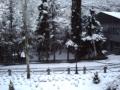 nevada enero 2011