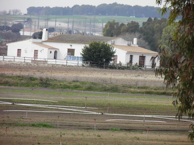 Casa Rural - San Isidro del Guadalete