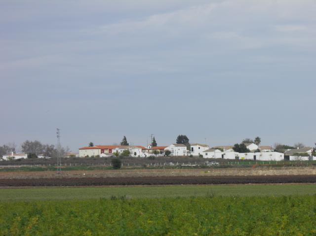 poblado de San Isidro del Guadalete