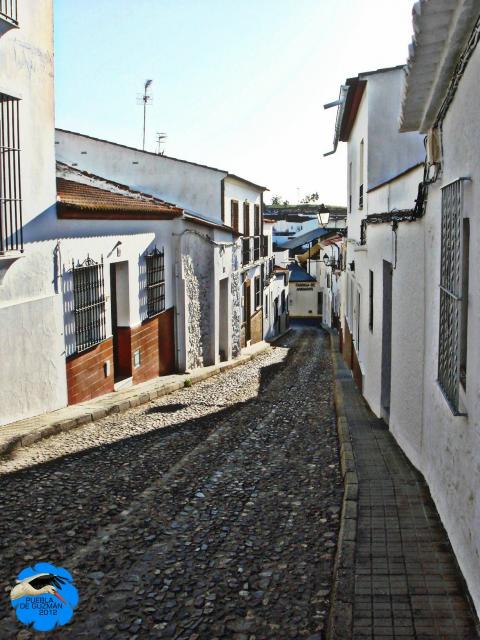 Calle Peas