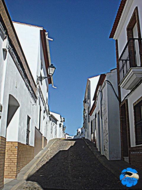 Calle Peas