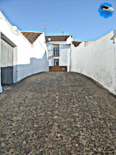 Calle Trasera Peas