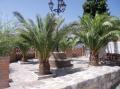 Plaza de las palmeras