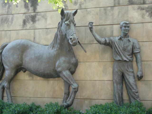 hombre y caballo