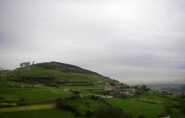 Panormica