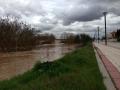 Crecida rio duero Puente Duero