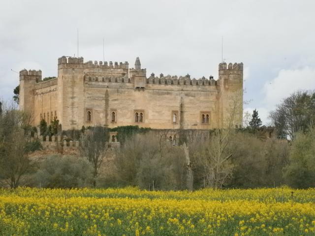Castillo de Malpica de Tajo en primavera