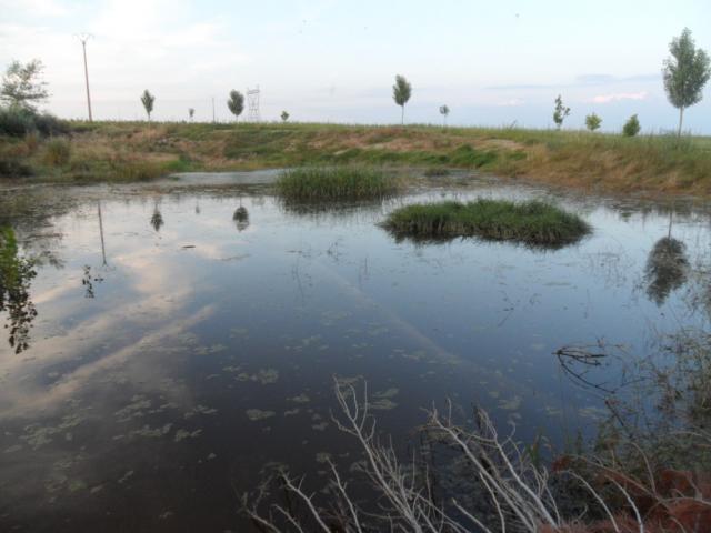 Laguna del Pozo Pedrado