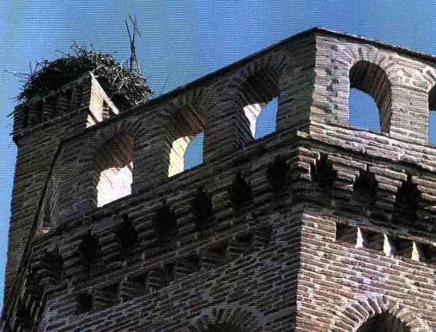 Torre de San Pedro Apostol. Nido de Cigea 
