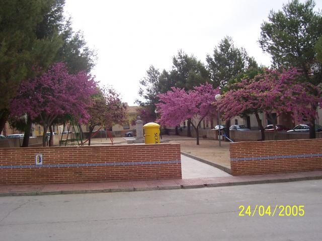 Plaza (2)