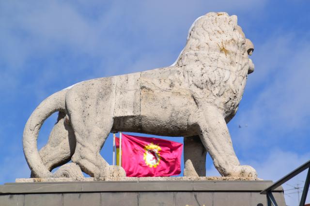 leon de leones y su bandera
