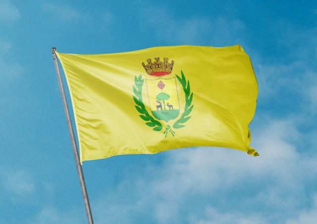 Bandera de Solana del Pino