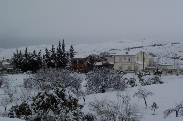 nevada 2007