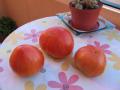 Los tomates del Sr. Ventero