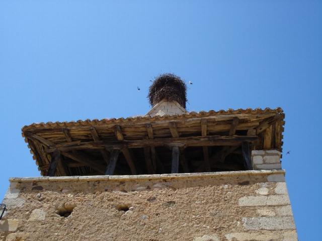 campanario con nido