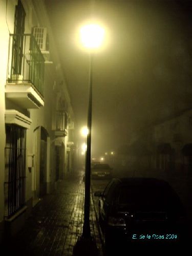 Niebla en las calle
