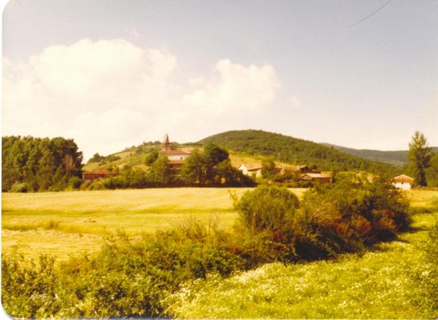 Vista de Valsadornin desde el prado Concejo