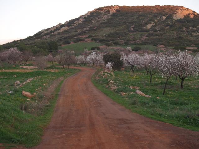 Cerro Santo