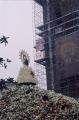 La Virgen del Pilar con su manto de flores