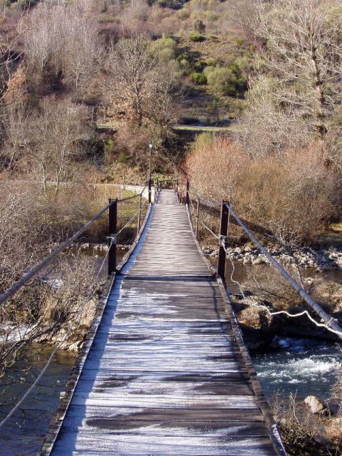 Puente de alejico