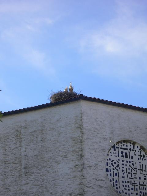 nido cigea iglesia