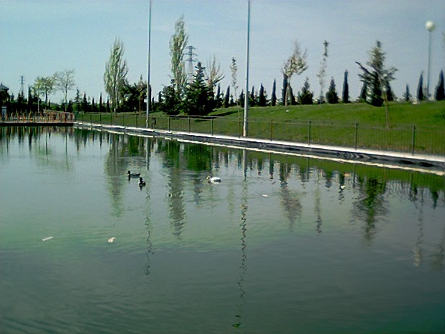 estanque del parque