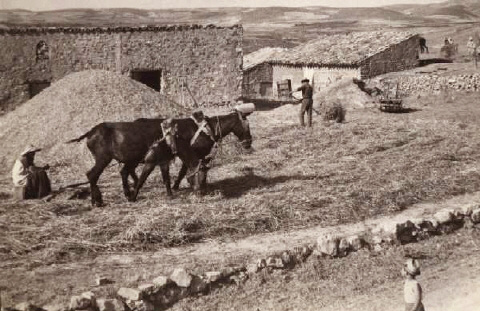 Trilla 1961 en Moneva