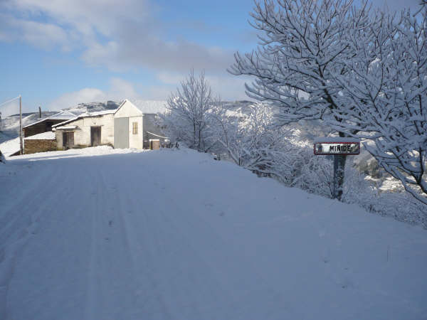 miide nevada 2008
