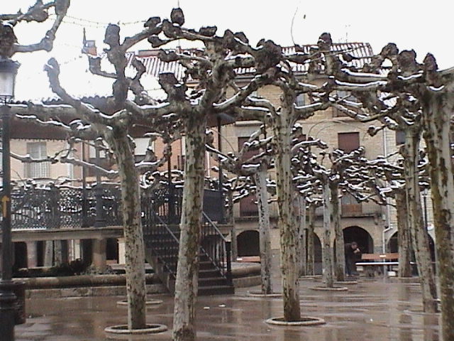 Plaza Mayor 1