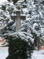 Cruz de la fuente de Santa Ana nevada