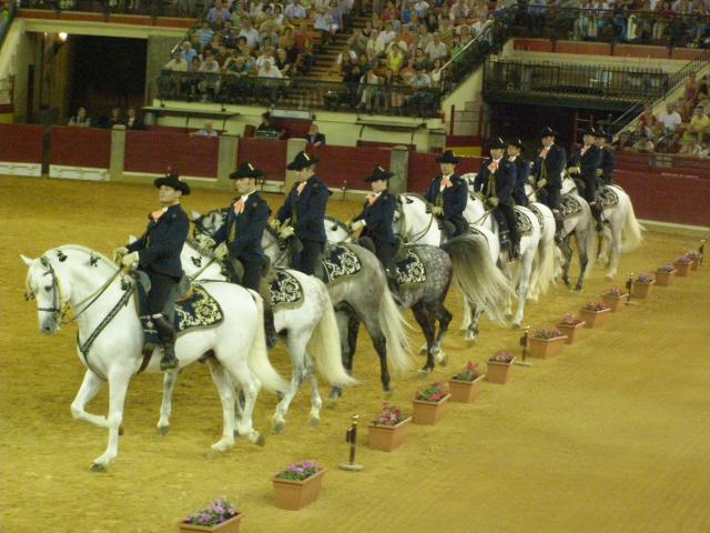 Caballos andaluces