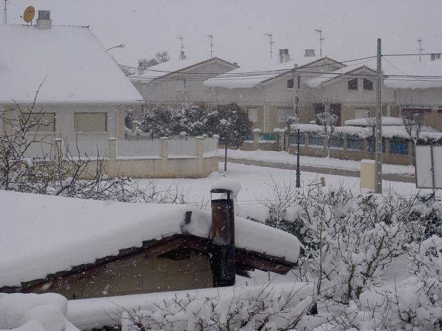 nevada del 2005
