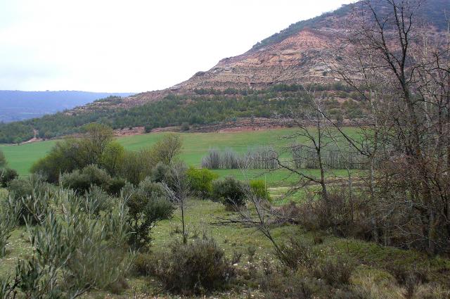 Cerro Pearrubias