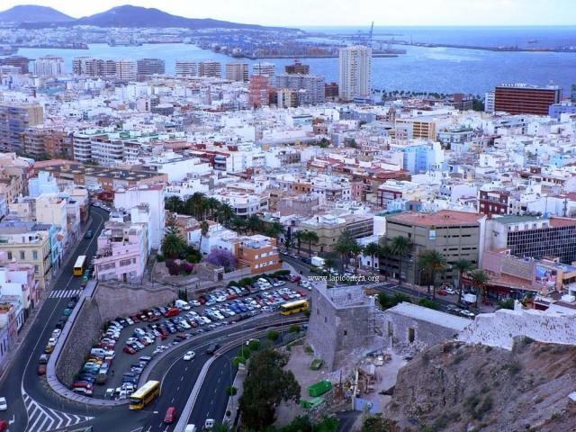 Trasplante nacido pierna Ciudad de Las Palmas de Gran Canaria - Las Palmas de Gran Canaria